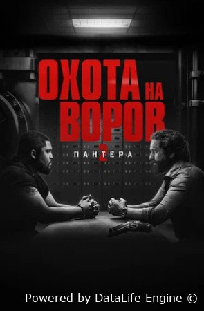 Охота на воров 2: Пантера (2025)